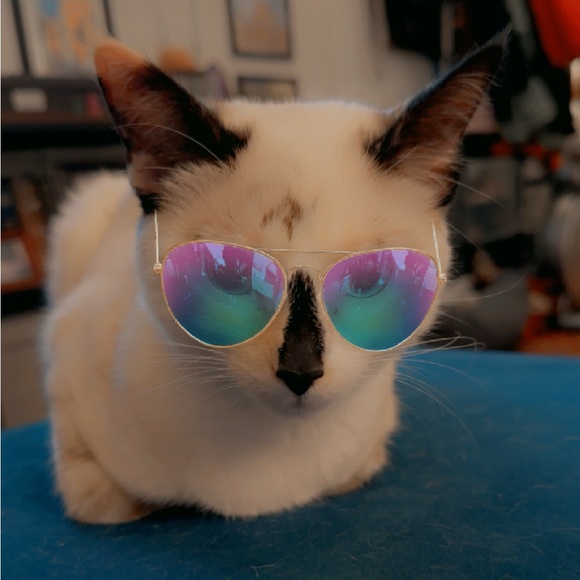 Meet your Posher, Christina - Picture 1 of 2